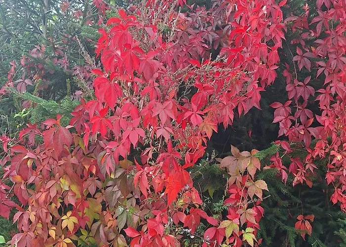 Bergliebe 아파트